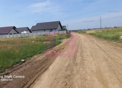 Teren Dobroești - poza 2