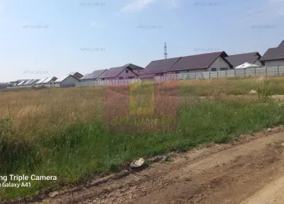 Teren Dobroești - poza 4