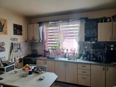 Casă 4 camere Joita - poza 7