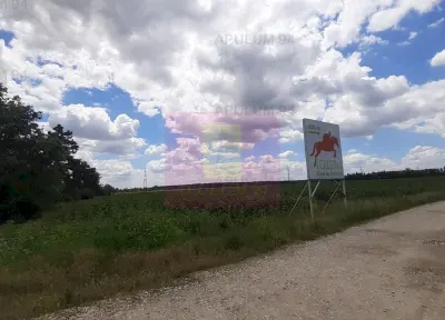 Teren Snagov - poza 14