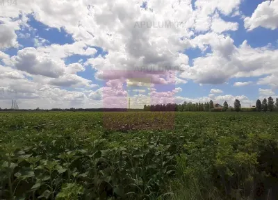 Teren Snagov - poza 18
