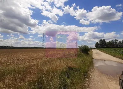Teren Snagov - poza 19