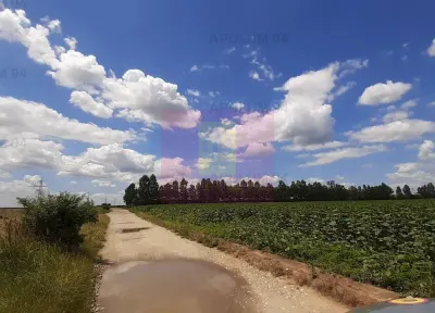 Teren Snagov - poza 20
