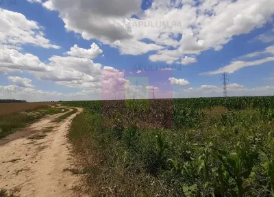 Teren Snagov - poza 27