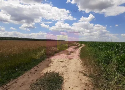 Teren Snagov - poza 28