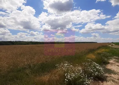 Teren Snagov - poza 29