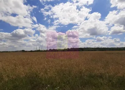 Teren Snagov - poza 30