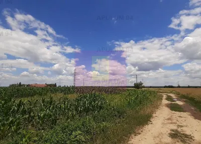 Teren Snagov - poza 32