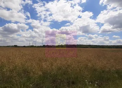 Teren Snagov - poza 37
