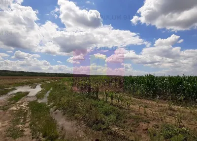 Teren Snagov - poza 40