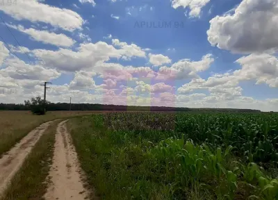 Teren Snagov - poza 5