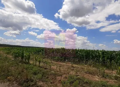 Teren Snagov - poza 41