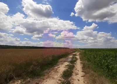 Teren Snagov - poza 43