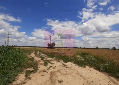 Teren Snagov - poza 45
