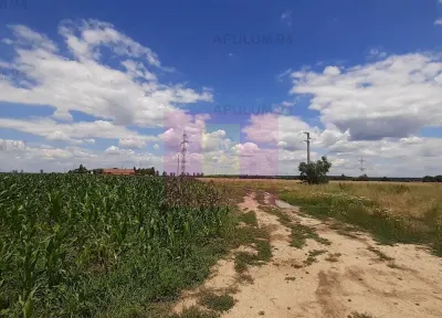 Teren Snagov - poza 47
