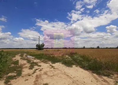 Teren Snagov - poza 48