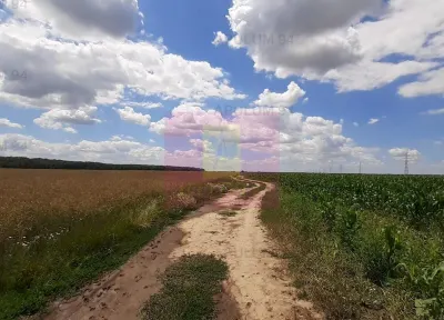 Teren Snagov - poza 56