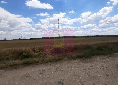 Teren Snagov - poza 8
