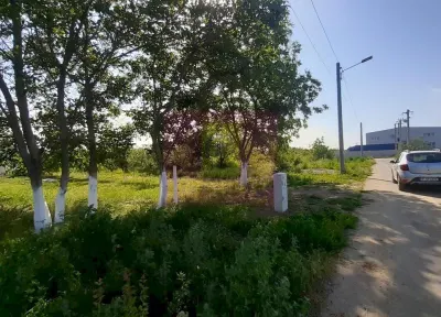 Teren Copaceni - poza 2
