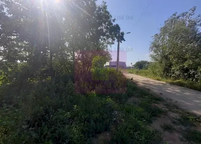 Teren Copaceni - poza 10