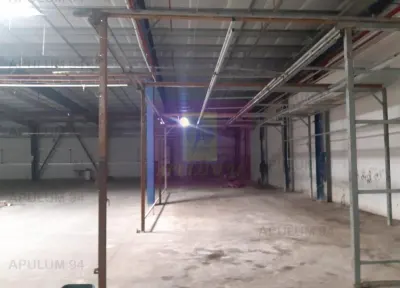 Spațiu industrial 1 Decembrie - poza 3