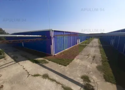 Spațiu industrial 1 Decembrie - poza 45