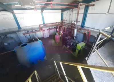 Spațiu industrial 1 Decembrie - poza 8
