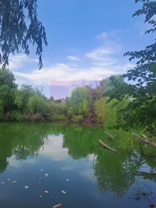 Casă 15 camere București - poza 46
