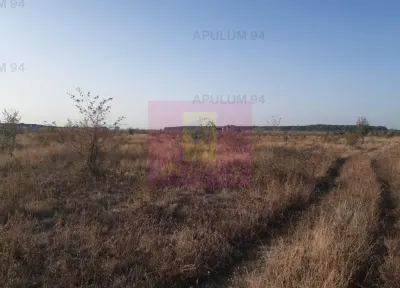 Teren Pantelimon - poza 26