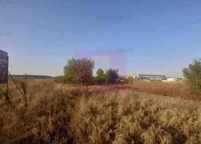 Teren Pantelimon - poza 30