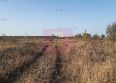 Teren Pantelimon - poza 38