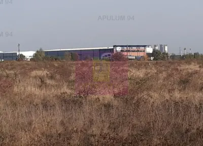 Teren Pantelimon - poza 40