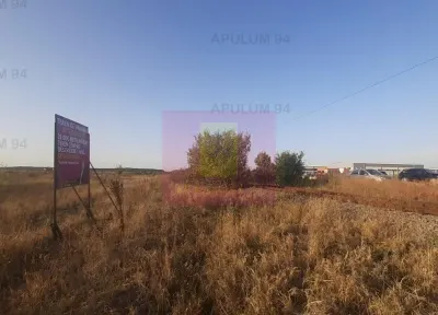 Teren Pantelimon - poza 43