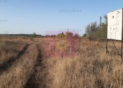 Teren Pantelimon - poza 49