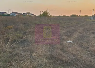 Teren 1 Decembrie - poza 45