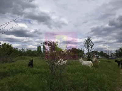 Teren București - poza 44