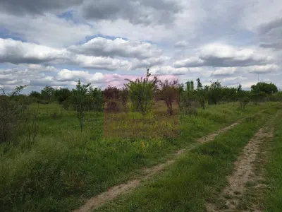 Teren București - poza 49