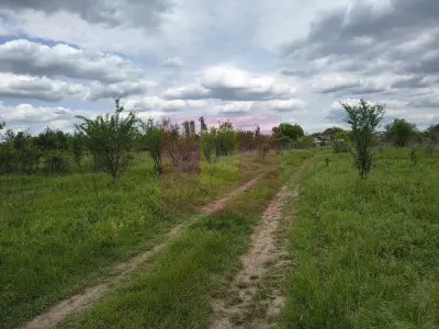Teren București - poza 50