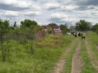 Teren București - poza 51