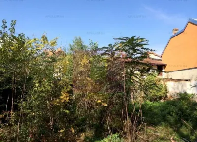 Teren București - poza 2