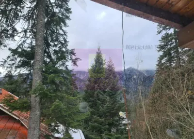 Vilă de vânzare in Sinaia - Zona Cumpătu - foto 16