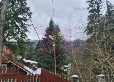 Vilă de vânzare in Sinaia - Zona Cumpătu - foto 3