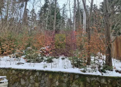 Vilă de vânzare in Sinaia - Zona Cumpătu - foto 21