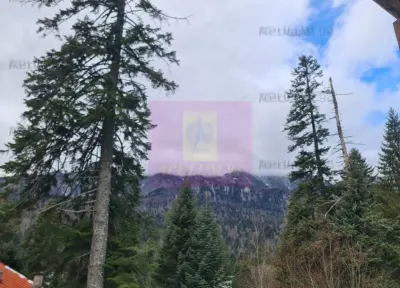 Vilă de vânzare in Sinaia - Zona Cumpătu - foto 26