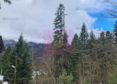 Vilă de vânzare in Sinaia - Zona Cumpătu - foto 8