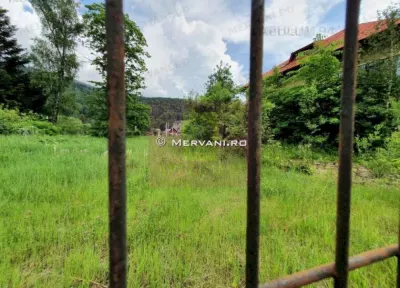 Teren Bușteni - poza 2