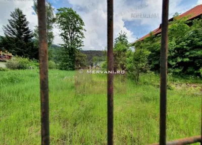 Teren Bușteni - poza 3