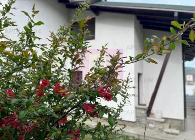 Vilă de vânzare în Comarnic - foto 50