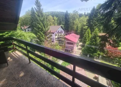 Vilă de vânzare în Bușteni - Zona Zamora - foto 33