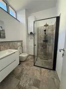 Spațiu comercial Moșnița Nouă - poza 3